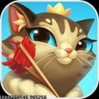 玩家社区领袖计划